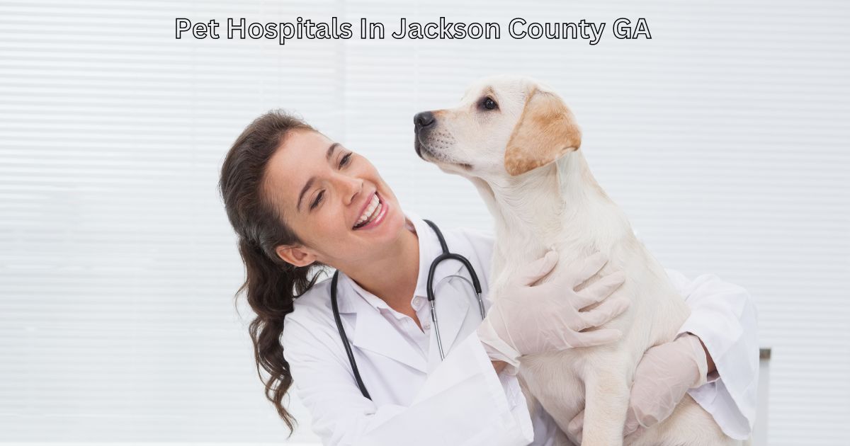 Pet Hospitals In Jackson County GA